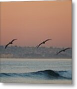 Three Pack Metal Print