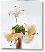 Three Pale Gold Lilies Still Life Metal Print