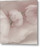 Three Pink Cosmo Flowers Metal Print