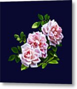 Three Pink Roses With Leaves Metal Print