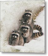 Three Amigos Metal Print