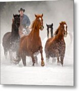 Through The Snow Metal Print