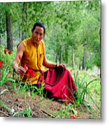 Tibetan Doctor In Lahav Forest Metal Print