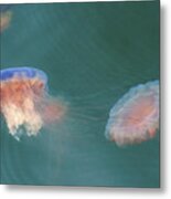 Tie-dyed Jellyfish Metal Print