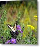 Tiger Swallowtail And Bee Metal Print