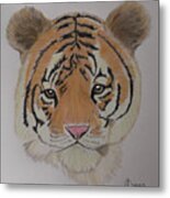 Tiger Tiger Metal Print