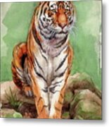 Tiger Watercolor Sketch Metal Print
