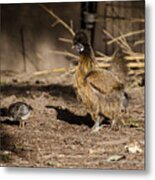 Tiny And Babies Metal Print