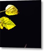 Together In Darkness Metal Print