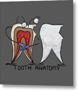 Tooth Anatomy T-shirt Metal Print