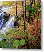 Top Of The Falls Metal Print