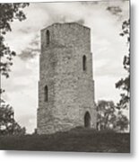 Top Of The Hill Metal Print