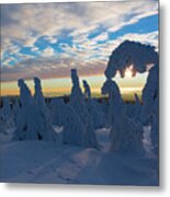 Touched From The Winter Sun Metal Print
