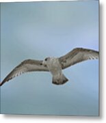 Touching The Sky Metal Print