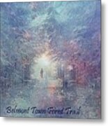 Town Forest Trail Metal Print