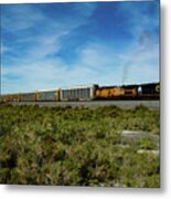 Train Salton Sea Ca Metal Print