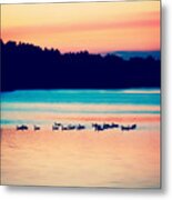 Tranquility After Sunset Metal Print