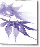 Translucent Purple Leaves Metal Print