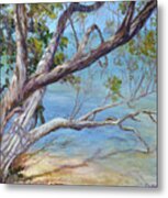 Tree At Islamorada Key Metal Print