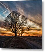 Tree At Sunset-eaton Rapids Metal Print