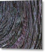 Tree Bark Metal Print