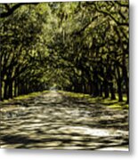 Tree Covered Approach Metal Print
