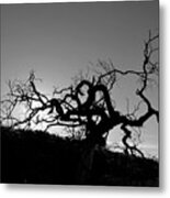 Tree Of Light Silhouette Hillside - Black And White Metal Print