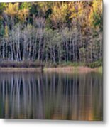 Tree Reflections On Deer Lake Metal Print