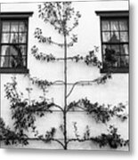 Tree Sculpture Metal Print