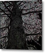 Tree Splendor Metal Print