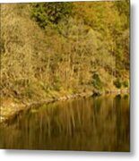 Trees And Water Metal Print