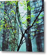 Trees Growing In Silo - Blu-green Filter Wide Edition Metal Print