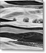 Trees In The Valley Metal Print