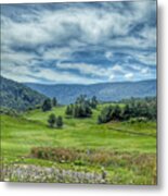 Trees In The Valley Metal Print