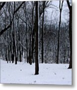 Trees In Winter Metal Print