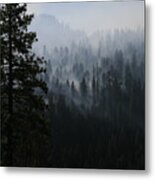 Trees In Yosemite Metal Print
