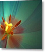 Tulip Trends Metal Print