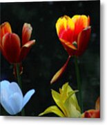 Tulips One Blue 1 Metal Print