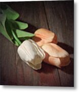 Tulips Metal Print