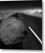 Tumbleweed Metal Print