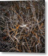 Tumbleweed Metal Print