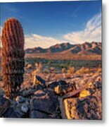 Turnbuckle Trail Metal Print