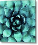 Turquoise Succulent Plant Metal Print
