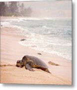 Turtle Beach Metal Print