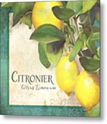 Tuscan Lemon Tree - Citronier Citrus Limonum Vintage Style Metal Print