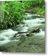 Twin Springs Summer Metal Print