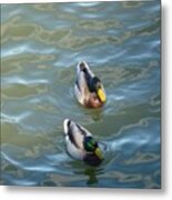 Two Brothers Metal Print
