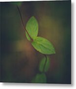 Two By Two Metal Print