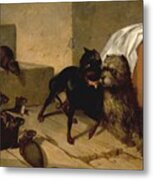 Two Dogs Cowering Before Rats Metal Print