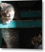 Two Kittens With Turquoise Chair Metal Print